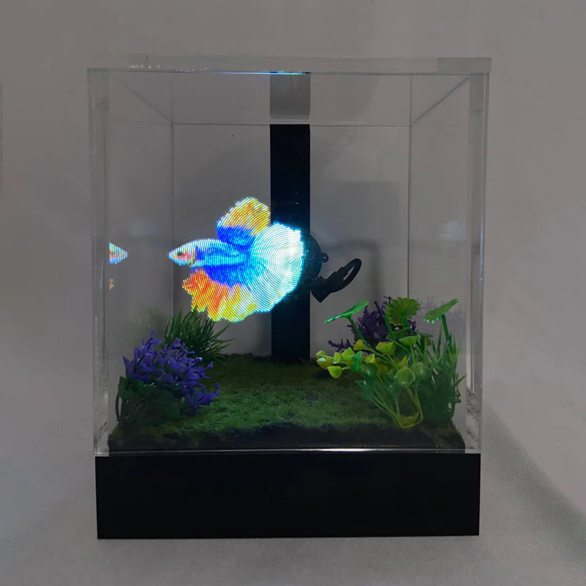 3D Holographic Aquarium - Image 10