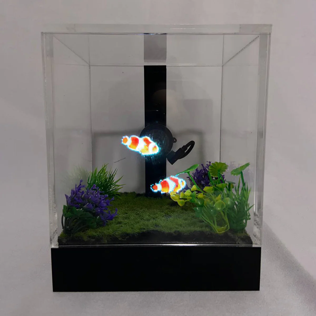 3D Holographic Aquarium - Image 11