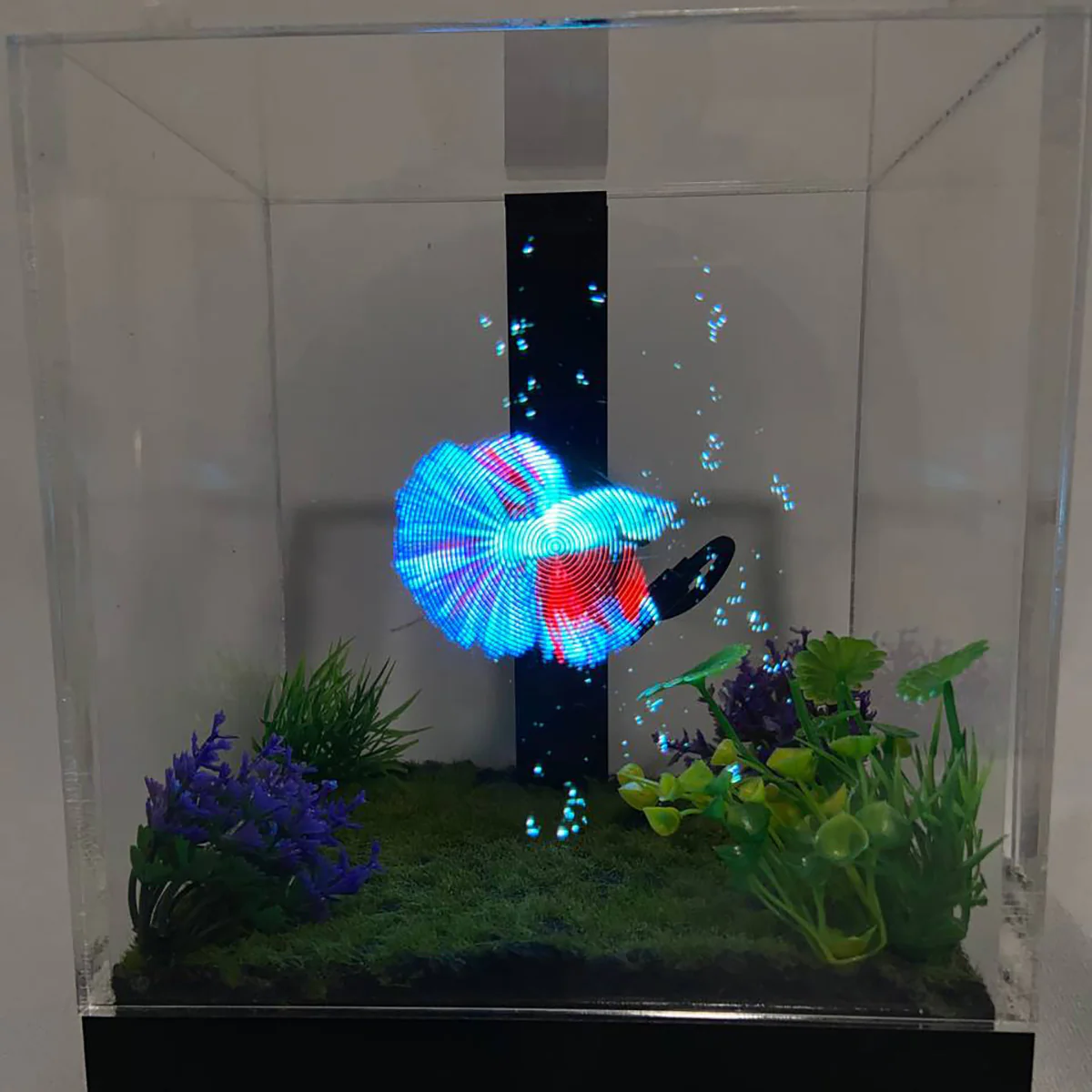 3D Holographic Aquarium - Image 12