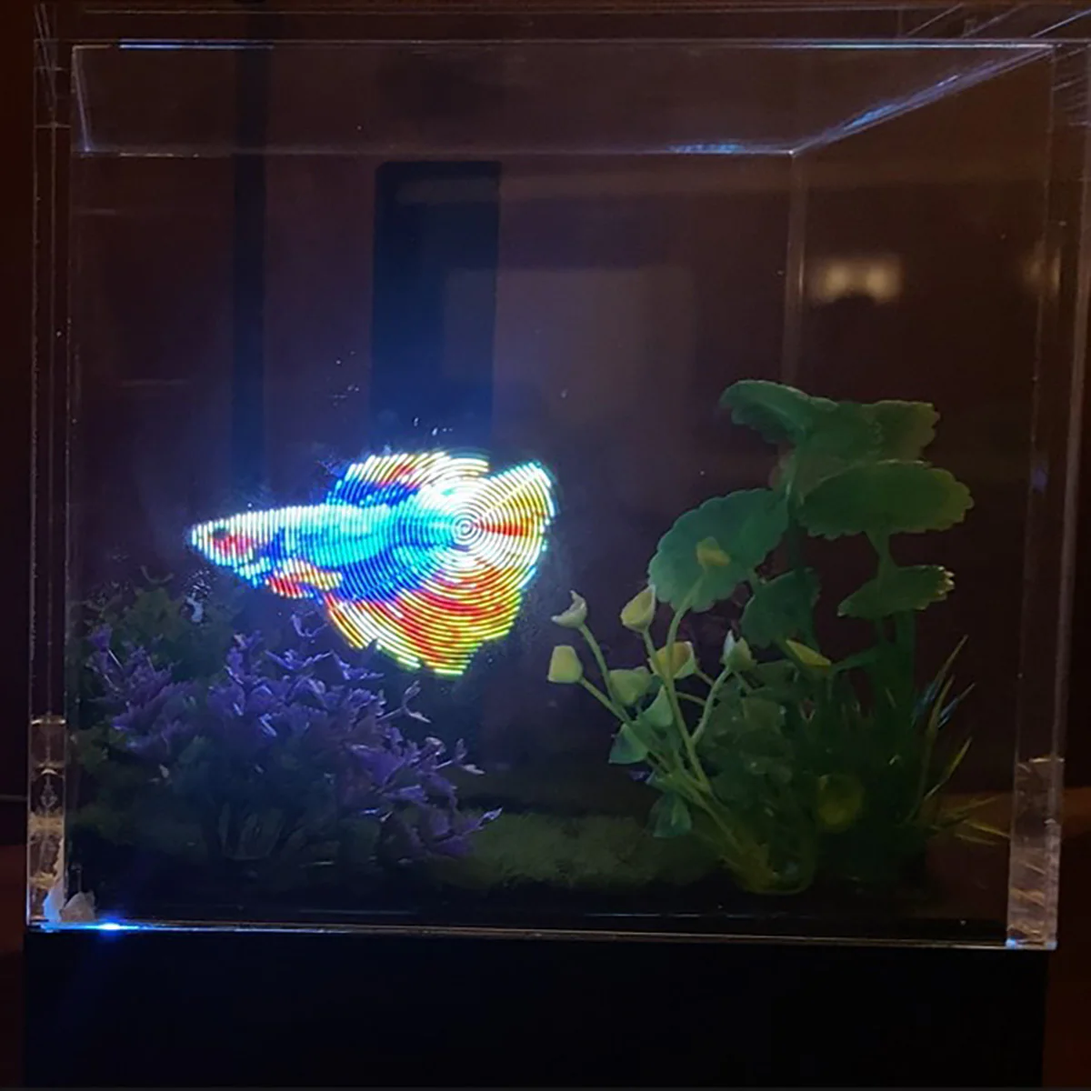 3D Holographic Aquarium - Image 20