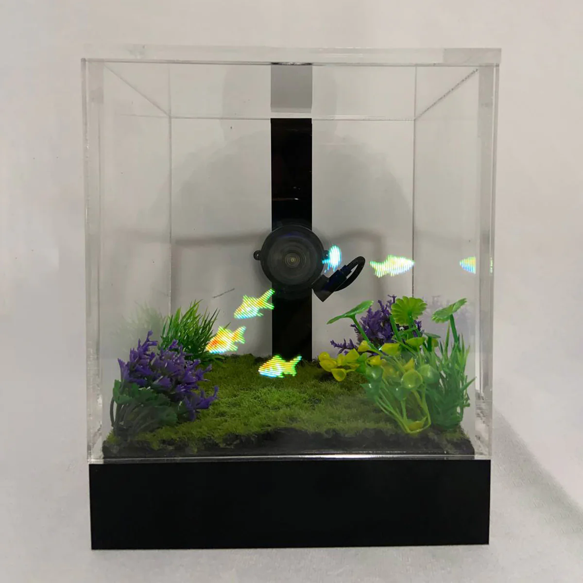 3D Holographic Aquarium - Image 25
