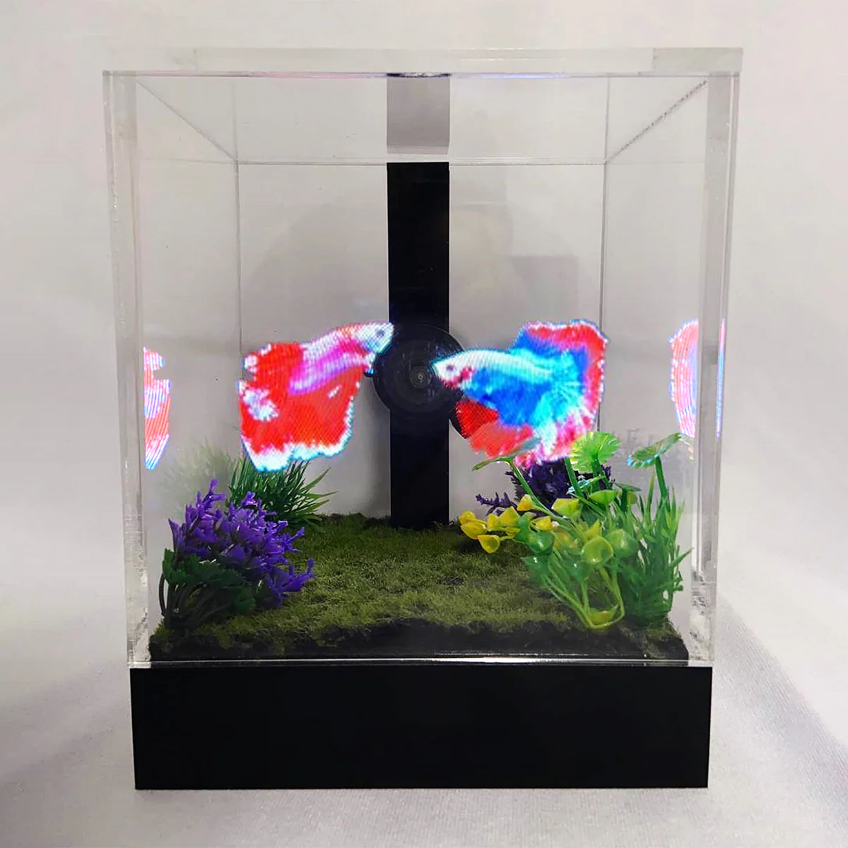 3D Holographic Aquarium - Image 3