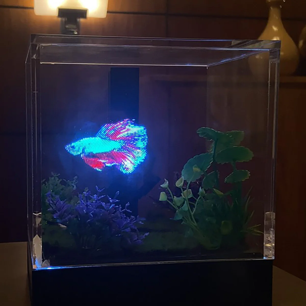 3D Holographic Aquarium - Image 4