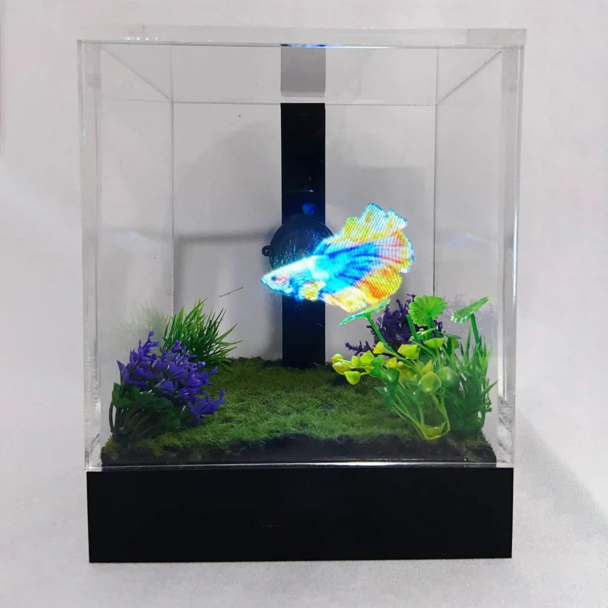 3D Holographic Aquarium - Image 5