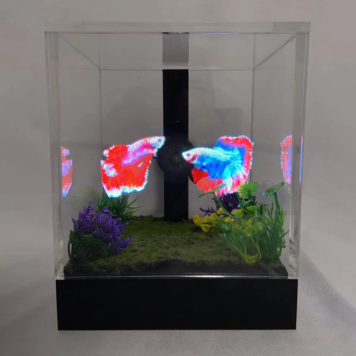3D Holographic Aquarium - Image 9