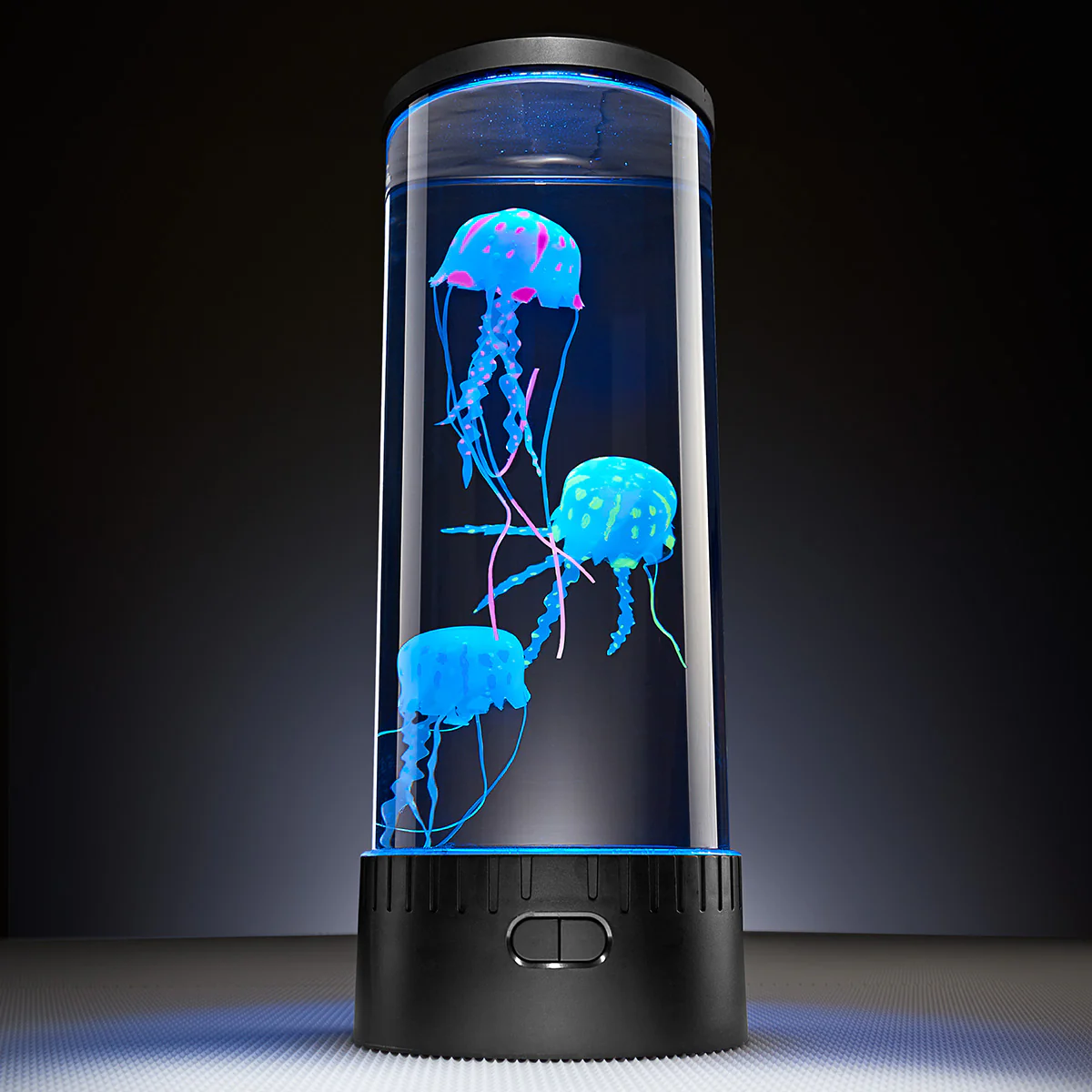 Jellyfish Aquarium