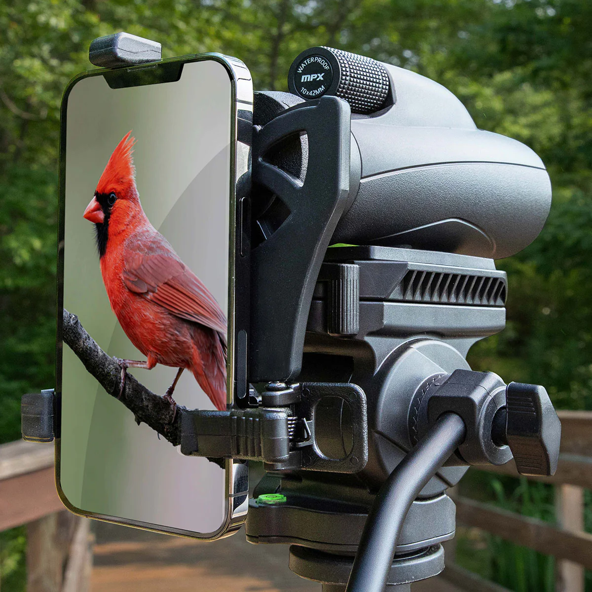 Monocular with Smartphone Adapter - Image 4