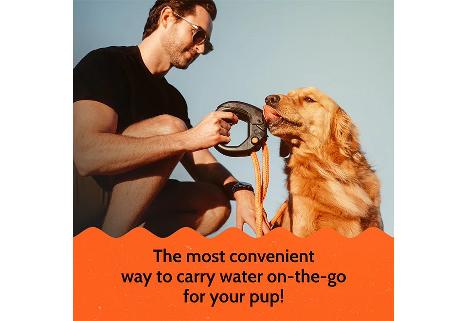 Pet Water Bottle Leash - Image 5