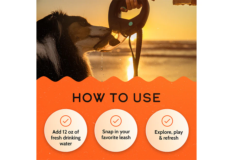 Pet Water Bottle Leash - Image 6