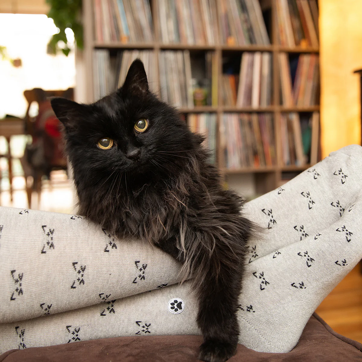 Socks for a Cause Gift Box - Image 10