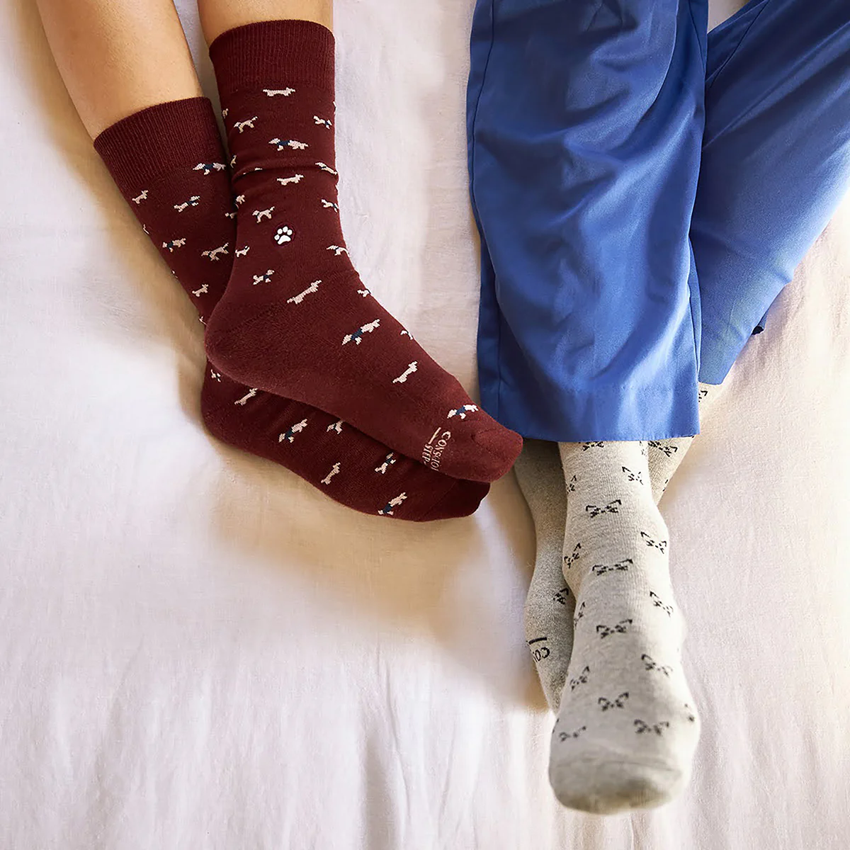 Socks for a Cause Gift Box - Image 13