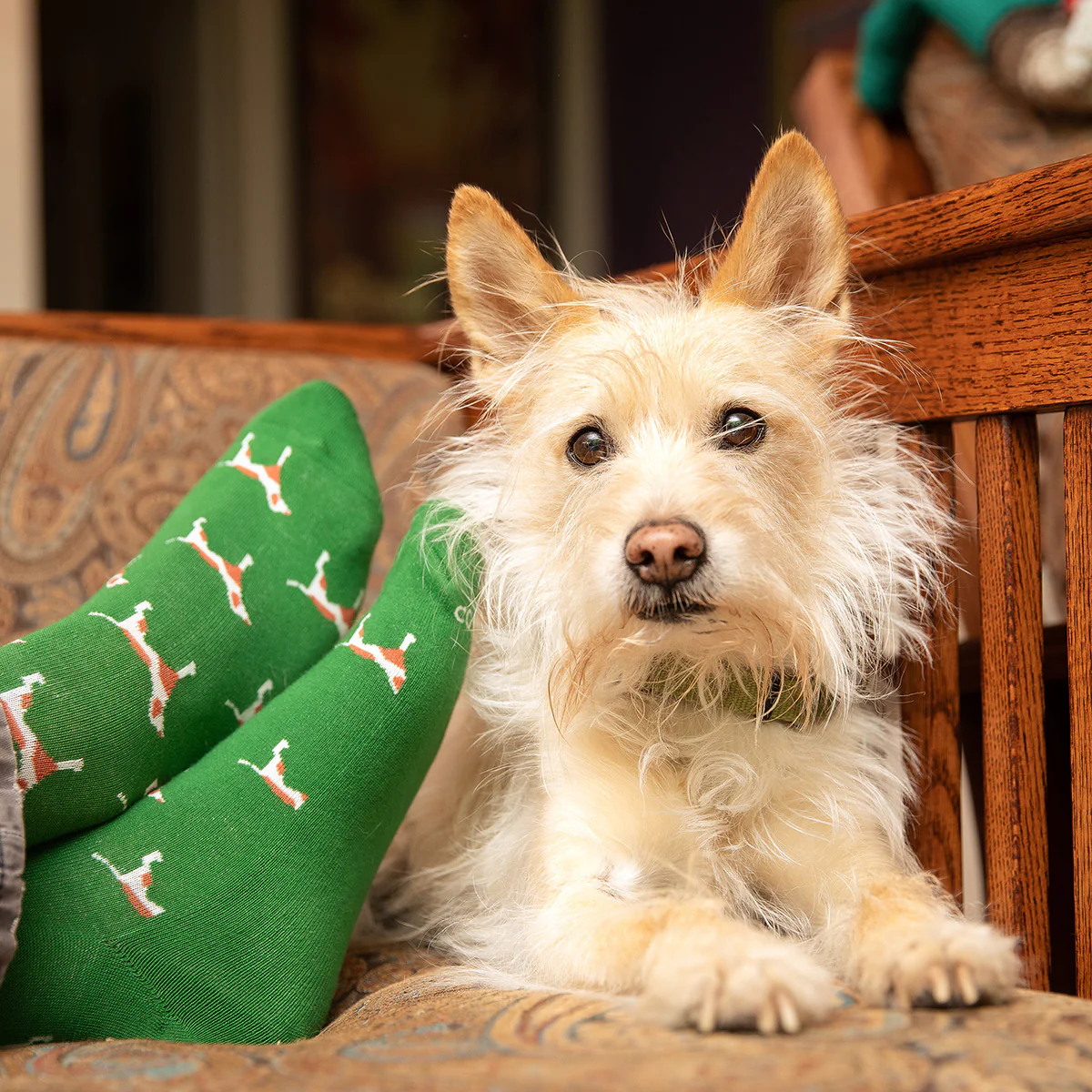 Socks for a Cause Gift Box - Image 14
